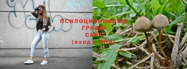 прущая мука Абинск