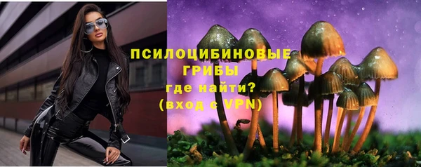 кокс Алзамай